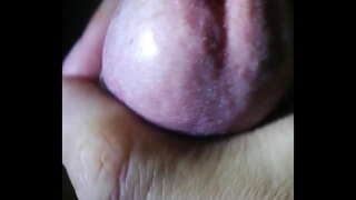 พฤ.เขื่อแบน nhieu tinh voi quan มากมายพวกเขา nhi