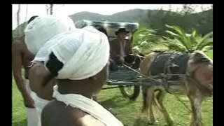 เป็น Negras อัยการ senzala