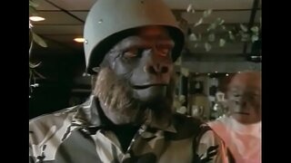 ที่ Playmate ของลิง